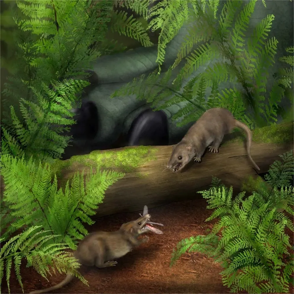The First Mammals and the Triassic's Quietest Revolution (Image Credits: Wikimedia)
