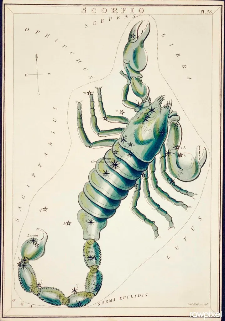 The Protective Shell Scorpio Wears Daily (Image Credits: Flickr)