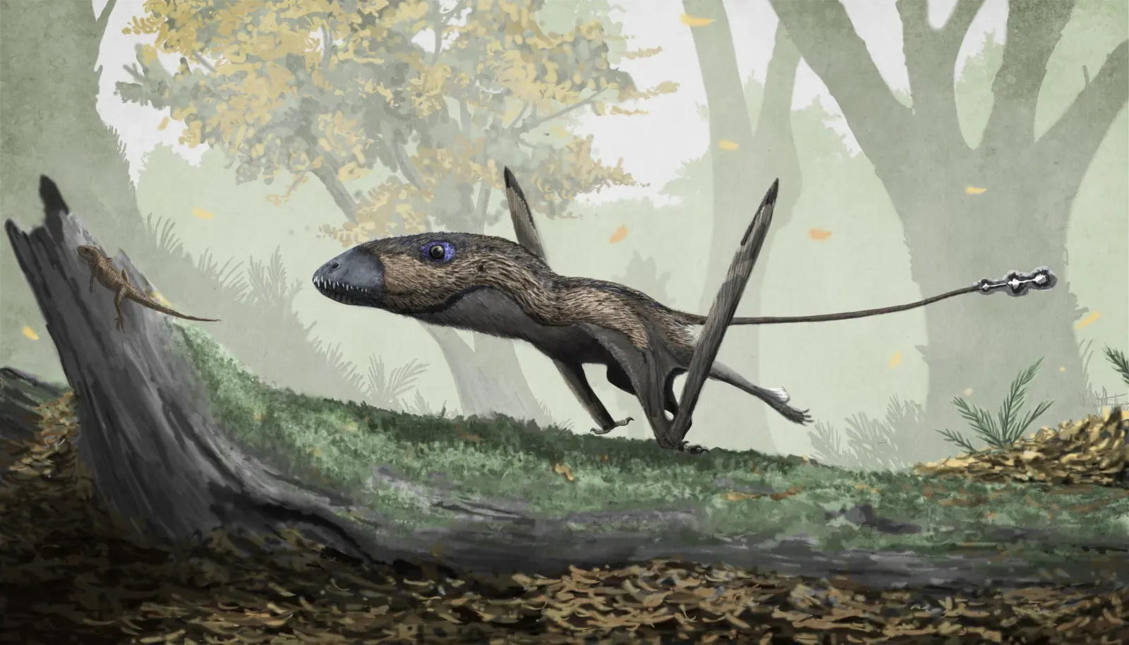 1. Dimorphodon: The Early Experiment in Flight (By Mark P. Witton, CC BY 4.0)