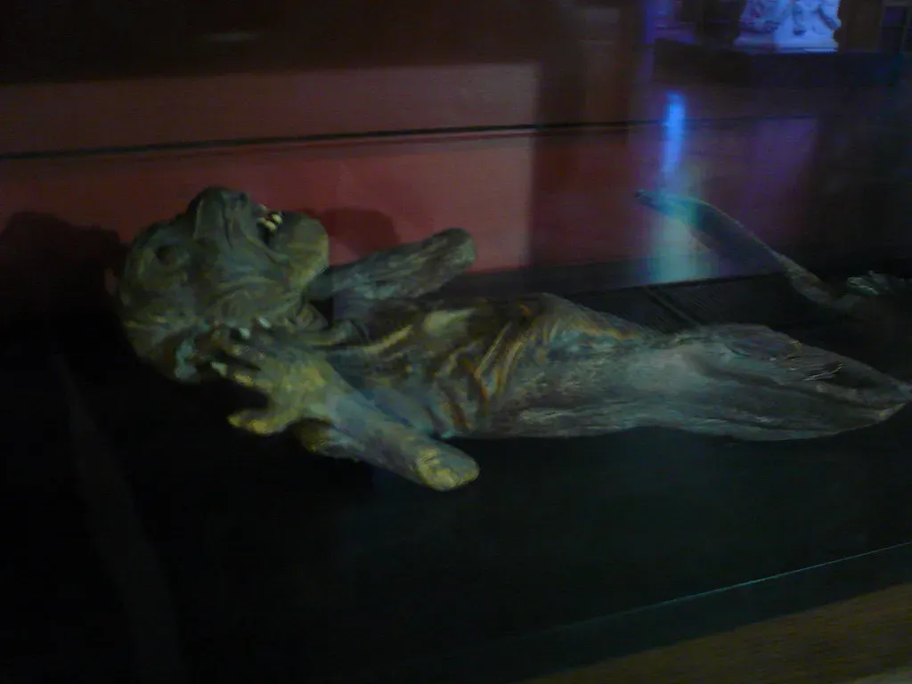 #5 – The Enjuin Temple Ningyo Mermaid Mummy (rvacapinta, Flickr, CC BY 2.0)