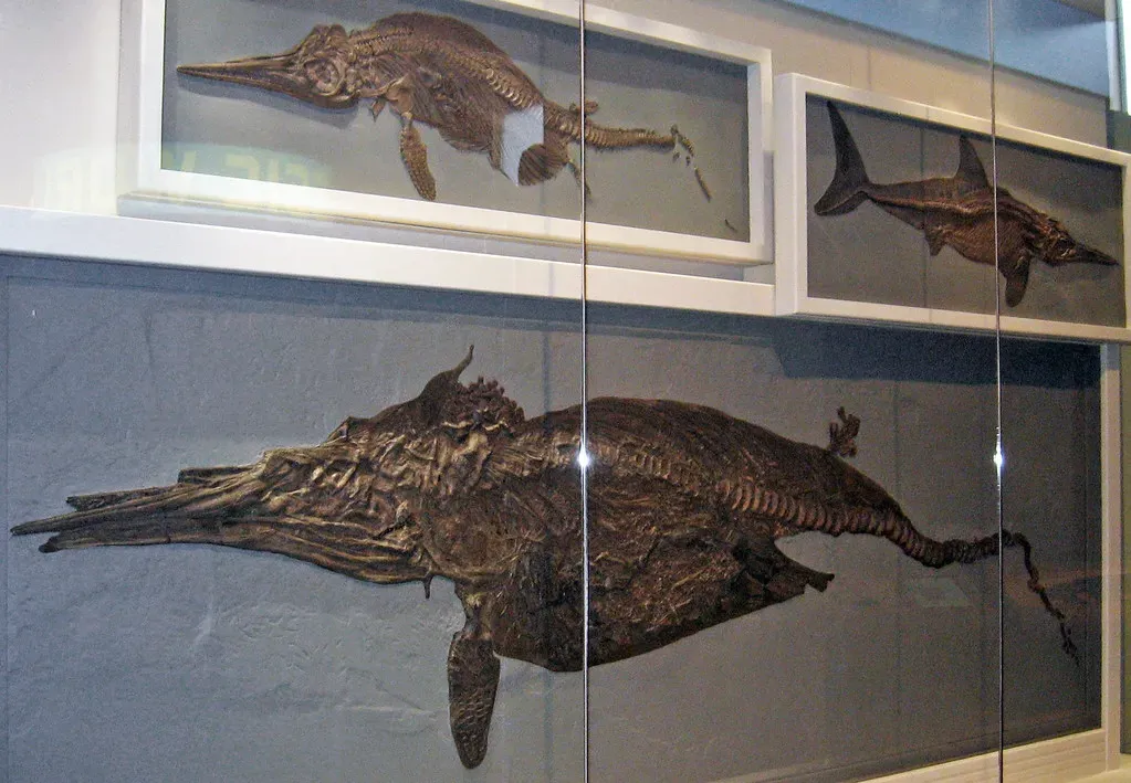 They Gave Birth to Live Young (Image Credits: Flickr)