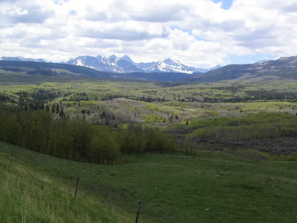 Animals as Geologic Forces: Builders, Burrowers, and Bioengineers (Ken Lund, Flickr, CC BY-SA 2.0)