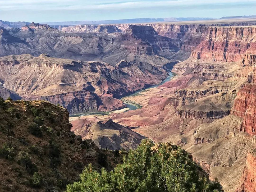 A Living Canyon: Wildlife and Ecosystems Across Elevation Zones (Image Credits: Unsplash)