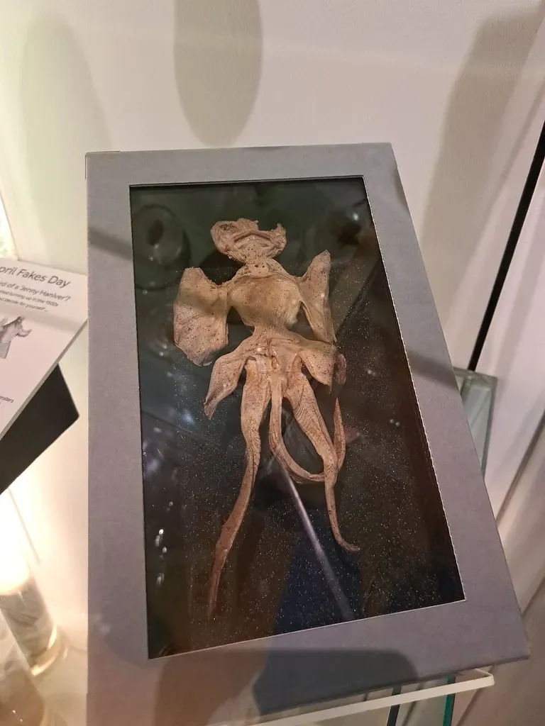 #5 - The Dried Rays Sold as Baby Dragons (amanderson2, Flickr, CC BY 2.0)