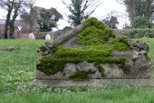 #4: Mosses – Velvet Carpets on Forgotten Names (From geograph.org.uk, CC BY-SA 2.0)
