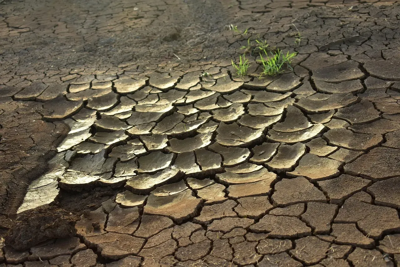 #7 Cracked Mud, Salt Flats, and Climate Clues (Image Credits: Pixabay)