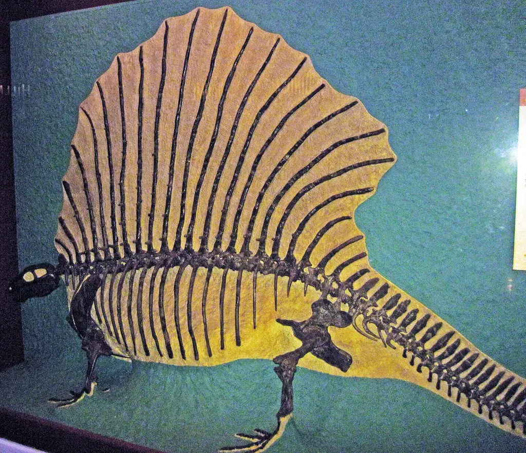 When Reptiles Ruled Through Climate Chaos (Image Credits: Flickr)