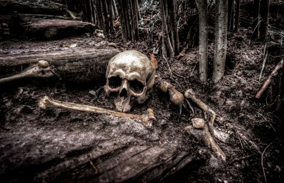 #8 - Bodies Deliberately Stripped to the Bone, Then Left in Pieces (Image Credits: Pexels)