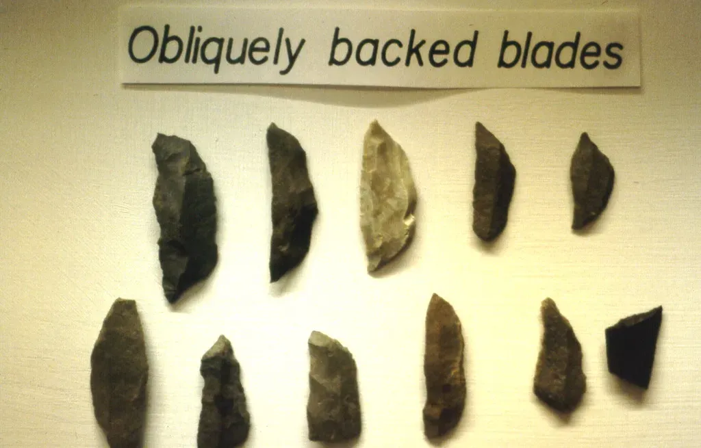The First Tools Were Not Accidents (gbaku, Flickr, CC BY-SA 2.0)