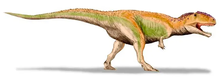 Giganotosaurus: The Southern Giant That Rivaled Everything (Image Credits: Wikimedia)