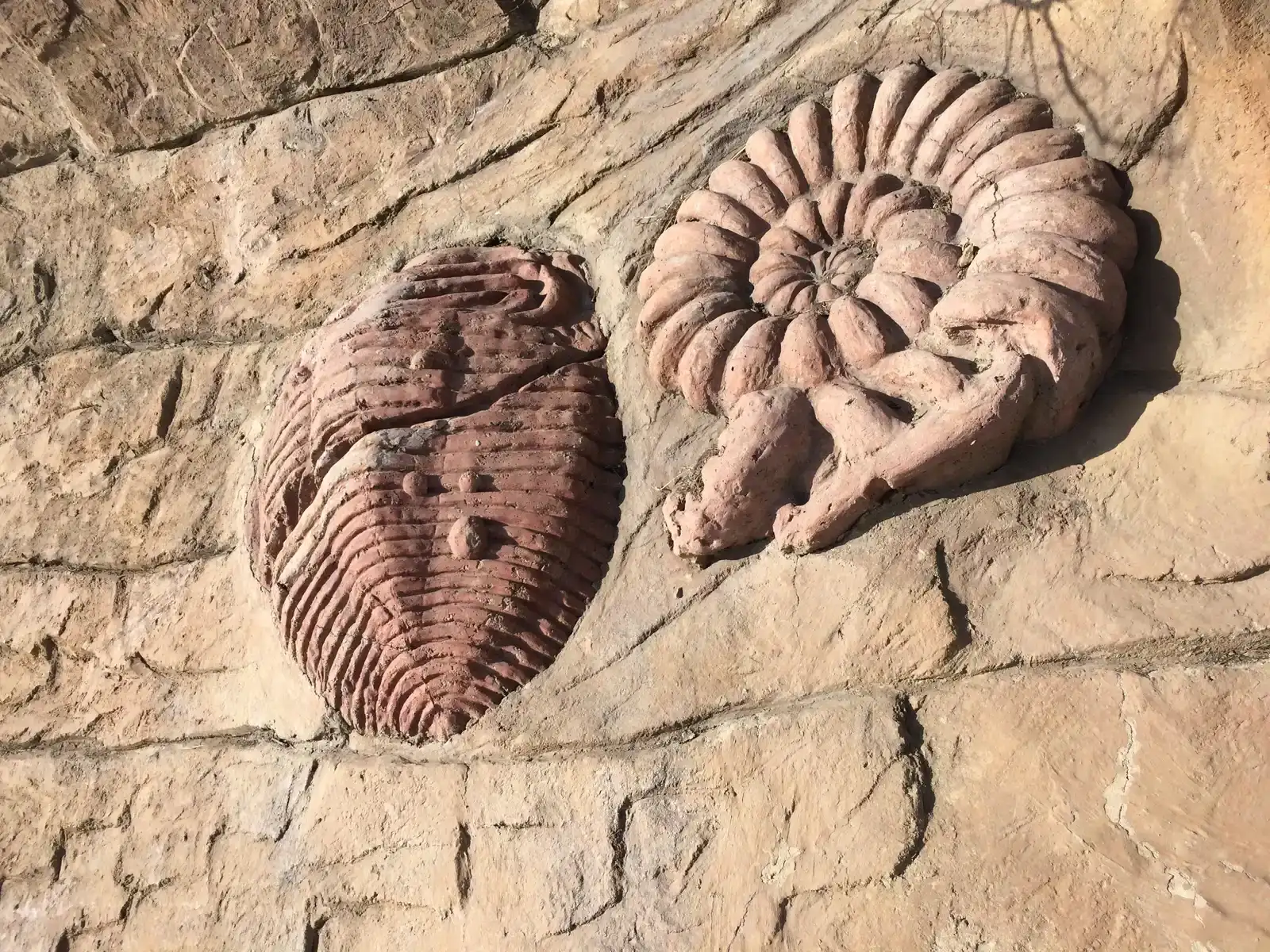 Conclusion (Image Credits: Wikimedia)