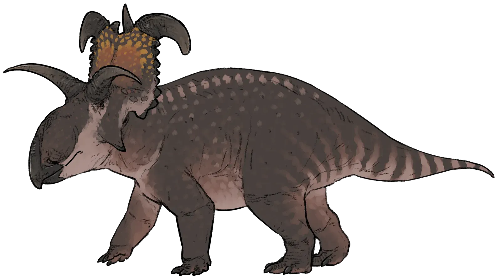 Montana Revealed the Most Bizarre Horned Dinosaur in 2024 (Image Credits: Wikimedia)