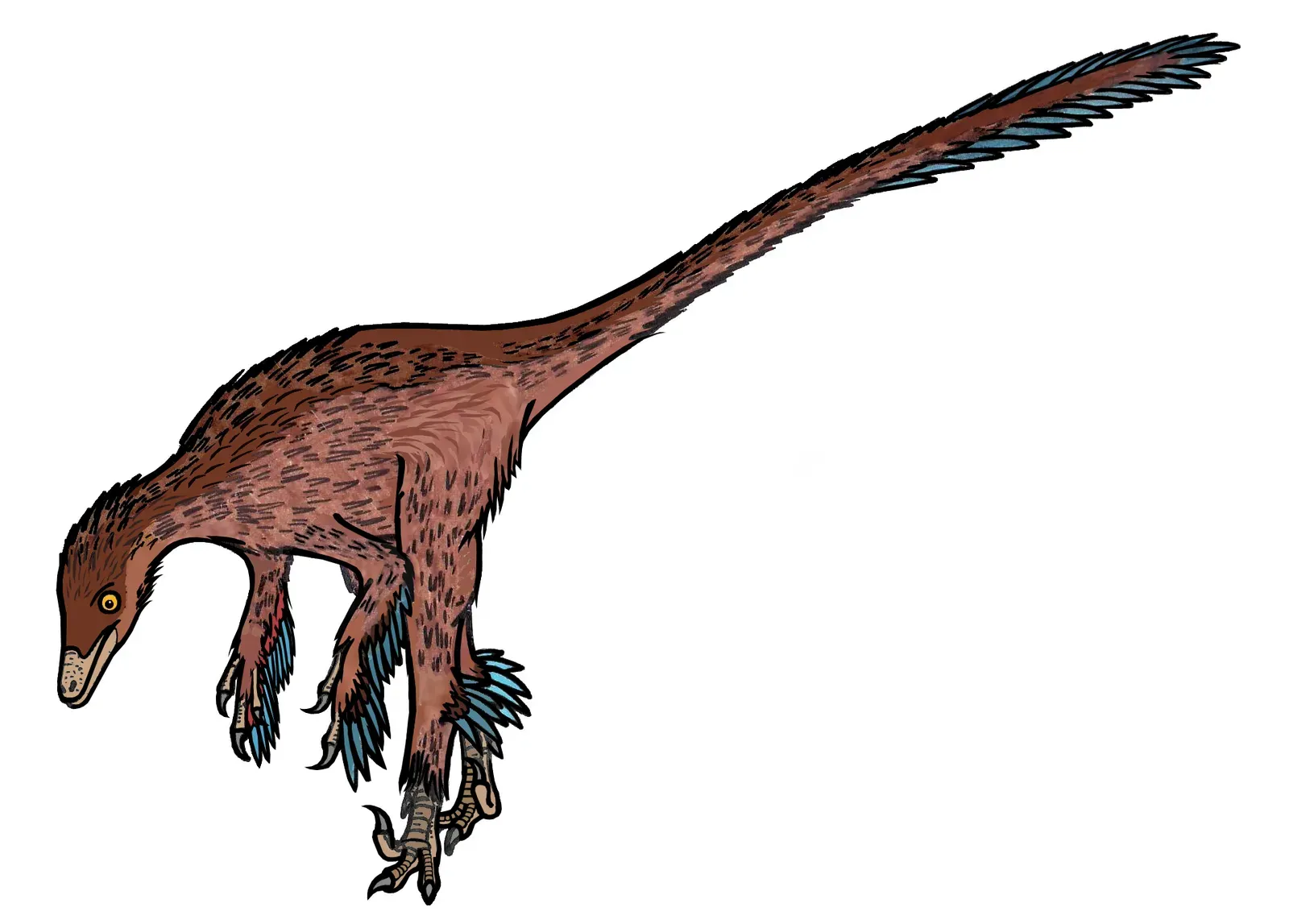1. Troodon's Brain Rivaled That of Modern Birds (By Conty, CC BY-SA 4.0)