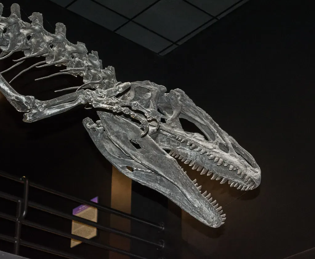 Disease Shaped Dinosaur Evolution and Survival (Image Credits: Flickr)