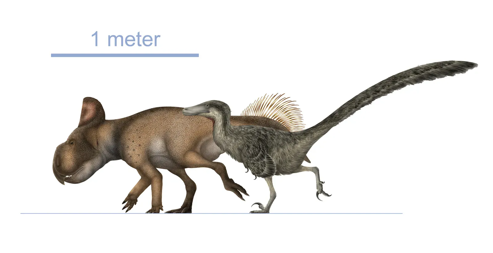 How Would a Small Dinosaur Like a Velociraptor Actually Defend Itself? (Image Credits: Wikimedia)