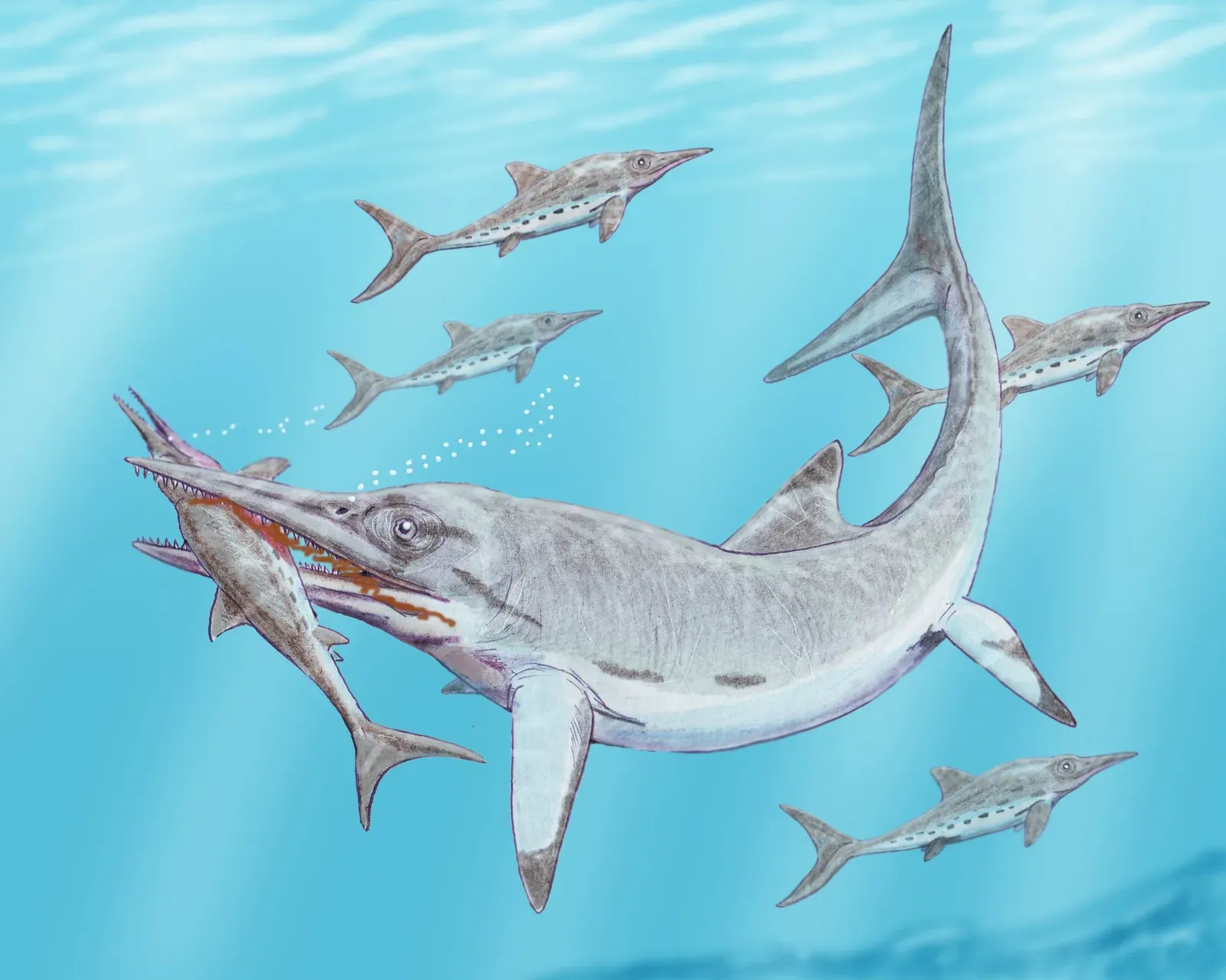 #2 - Temnodontosaurus, the Ichthyosaur With Eyes Built for the Abyss (dmitrchel@mail.ru, CC BY 3.0)