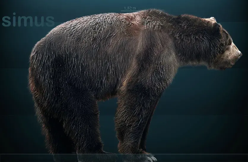 5. Arctodus simus: The “Silly” Giant Bear That Could Outrun You (By Sergiodlarosa (Sergio De La Rosa), CC BY-SA 3.0)