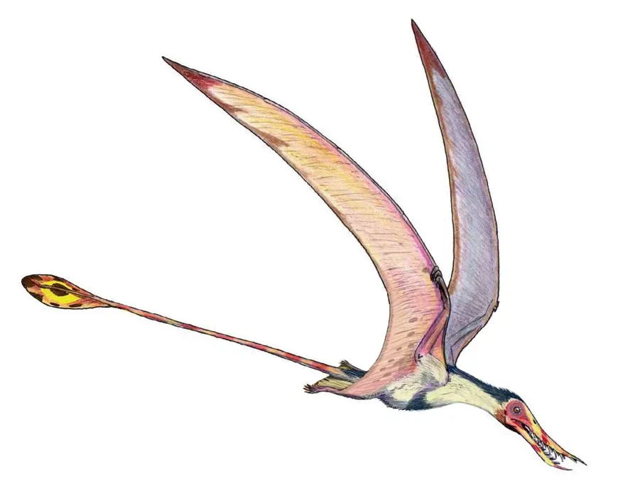 #8 - Rhamphorhynchus, the Pterosaur That Lost to Pteranodon's PR Team (Originally from ru.wikipedia; description page is/was [1]., Public domain)