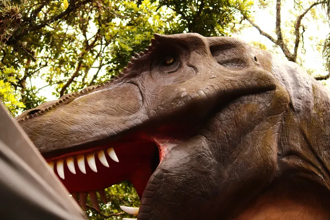 Hearing That Could Shake the Ground (Image Credits: Unsplash)