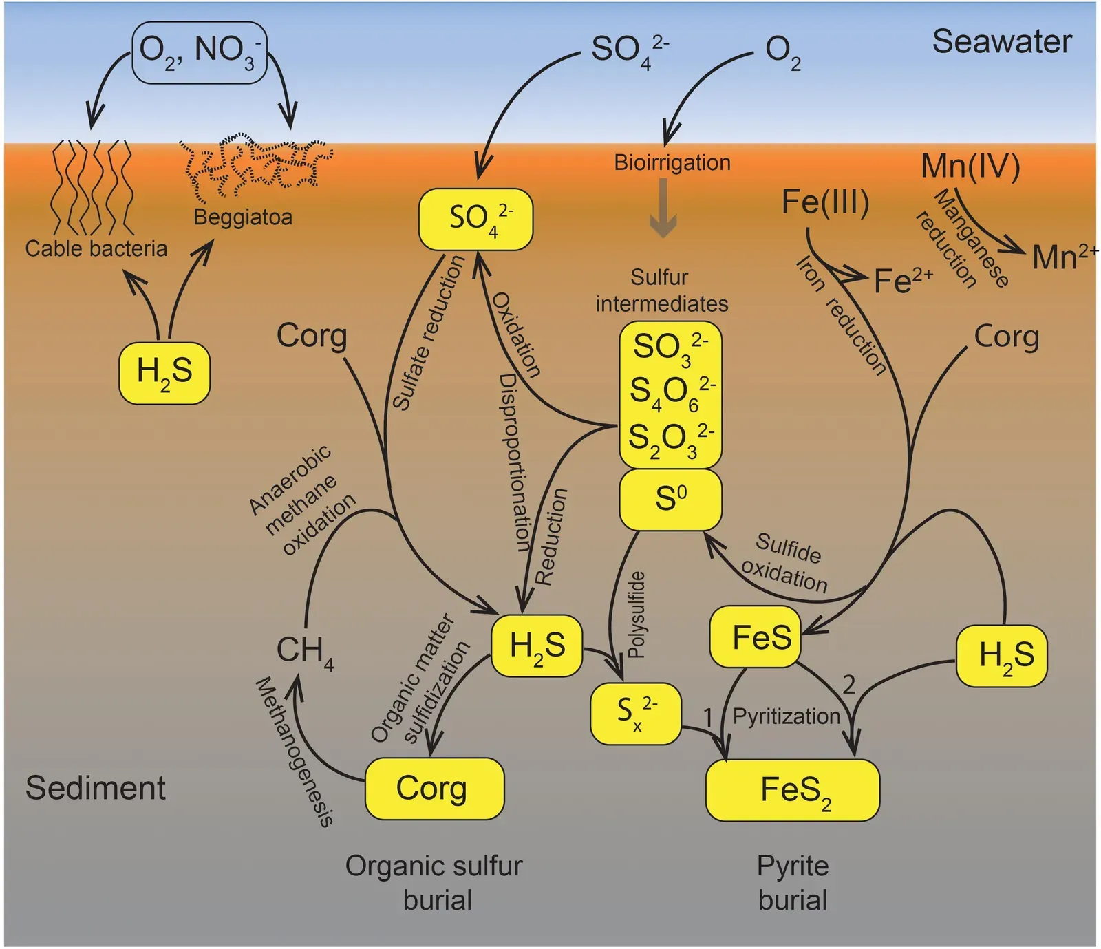 Geochemical Fingerprints: From Oxygen Crashes to Carbon Spikes (By Bo Barker Jørgensen, Alyssa J. Findlay and André Pellerin, CC BY-SA 4.0)