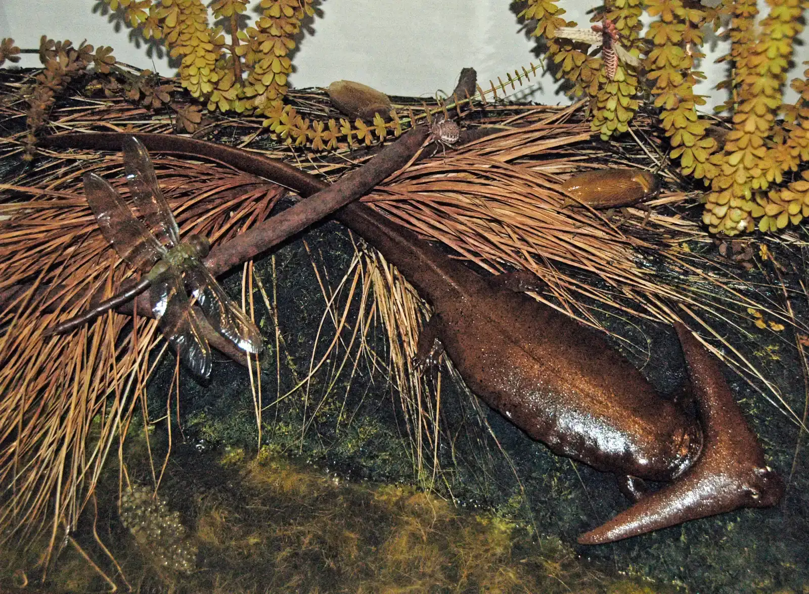 When Amphibians Ruled the Earth (Diorama of a Permian forest floor - Diploceraspis 4, CC BY 2.0)