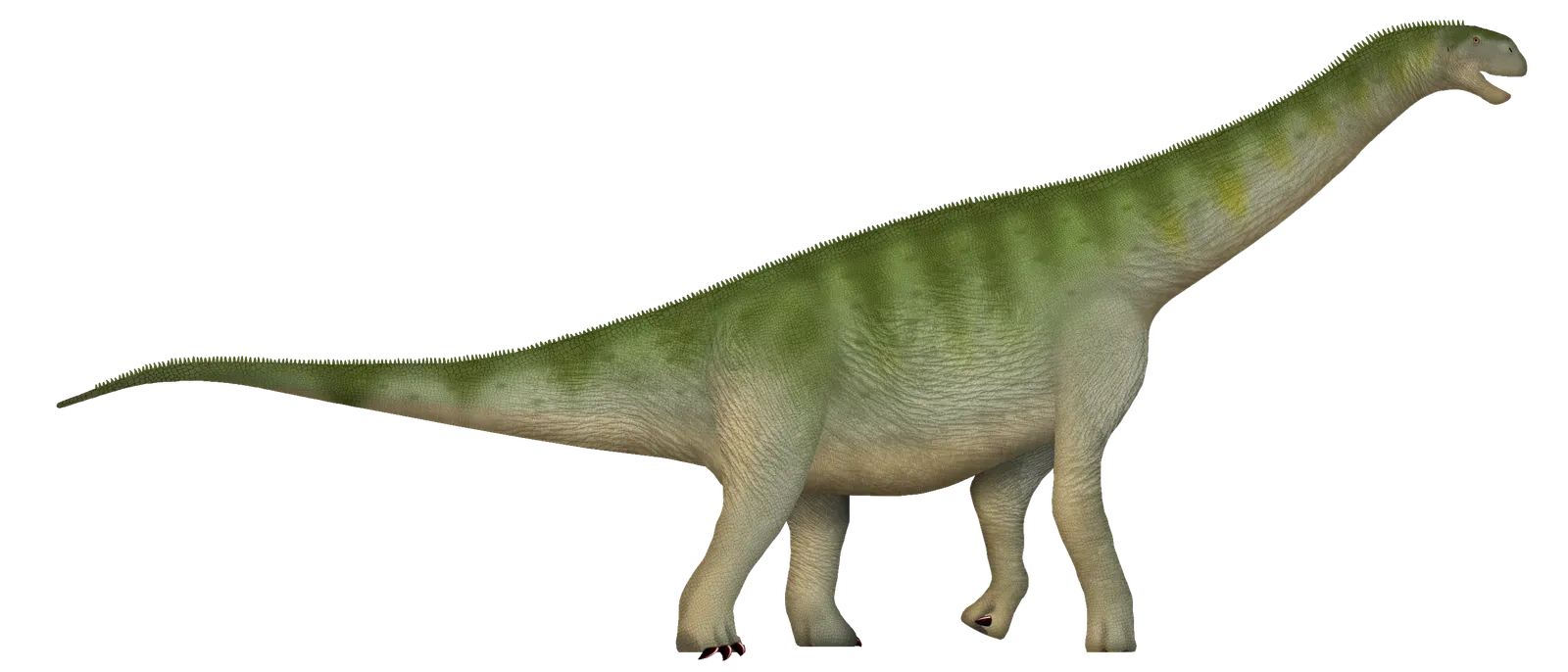 2. Dinosaurs Dragged Their Tails Like Lizards (Image Credits: Wikimedia)