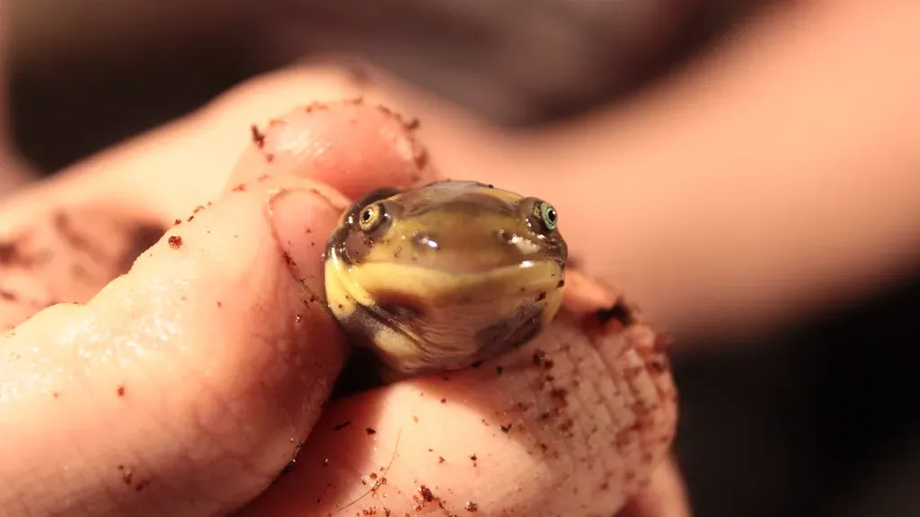 Conclusion: A Deep Family Tree Worth Protecting (WedlockPictures, Flickr, CC BY 2.0)