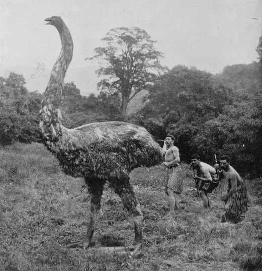 #7 - It Survived Massive Environmental Swings by Being a Generalist at Heart (Image Credits: Wikimedia)