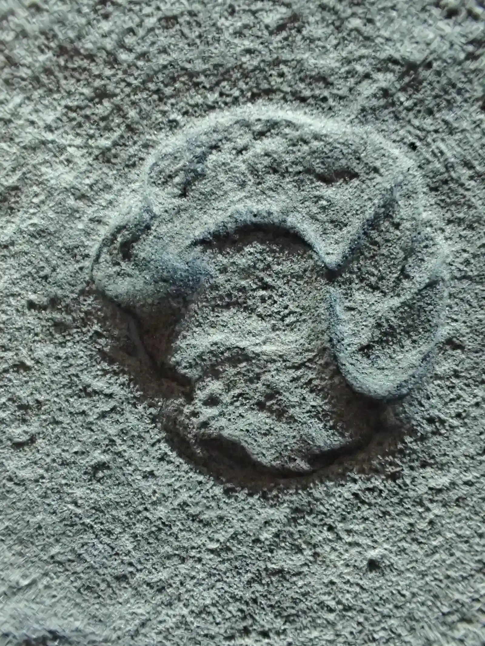 8. Ediacaran Sea Creatures: Life Before Hard Parts (By Masahiro miyasaka, CC BY-SA 4.0)