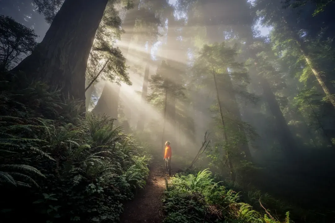 #1 - Your First Breath Would Feel Almost Intoxicating (Image Credits: Unsplash)