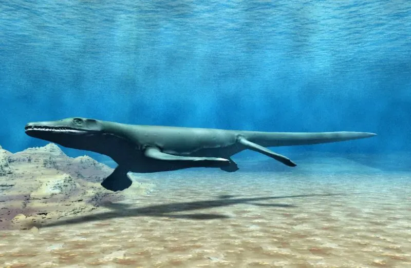 3. Platecarpus: The Sleek Mid-Sized Marine Lizard (By Nobu Tamura (http://spinops.blogspot.com), CC BY 3.0)