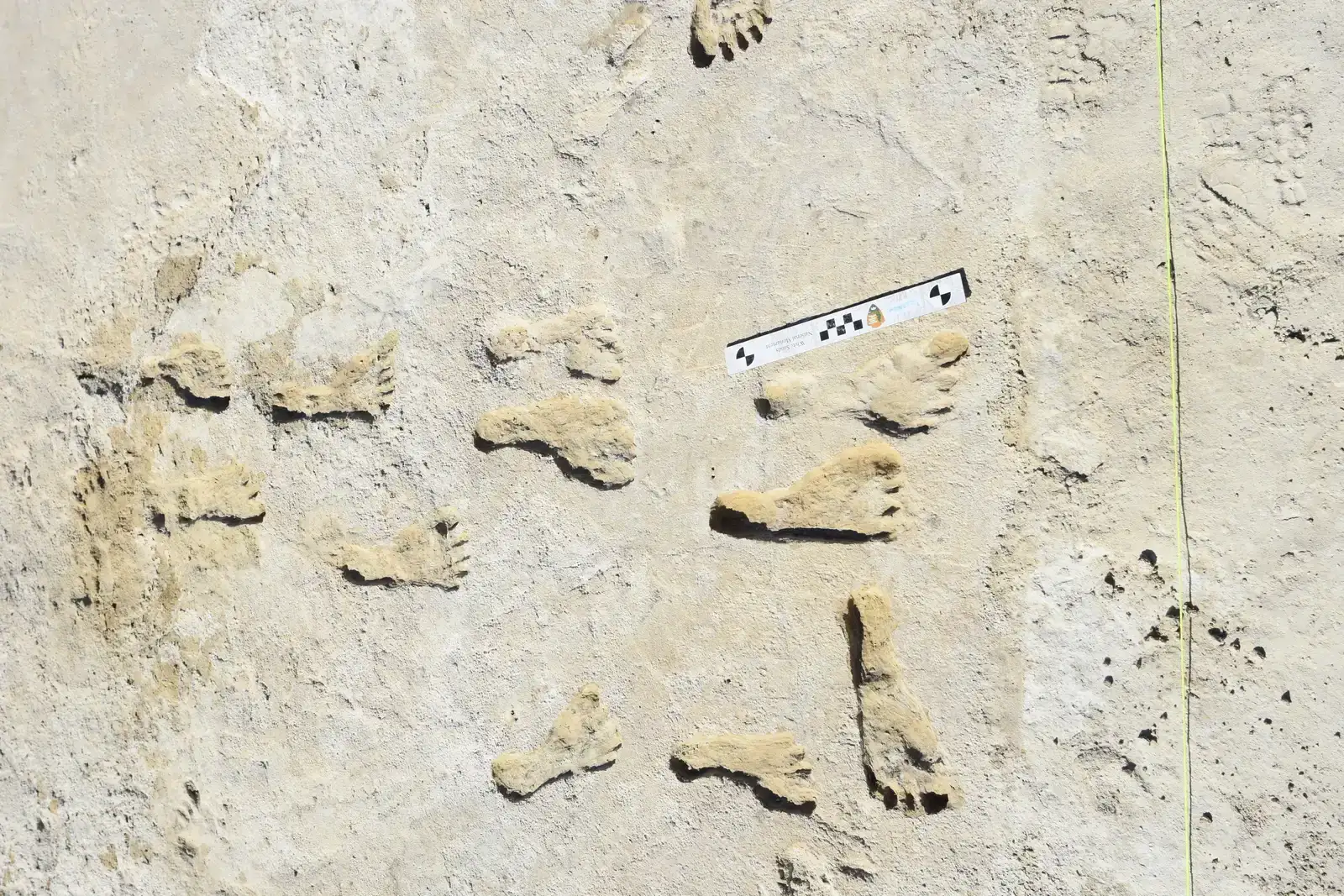 The Laetoli and Kenya Discoveries: When Two Species Crossed Paths (NPGallery, Public domain)