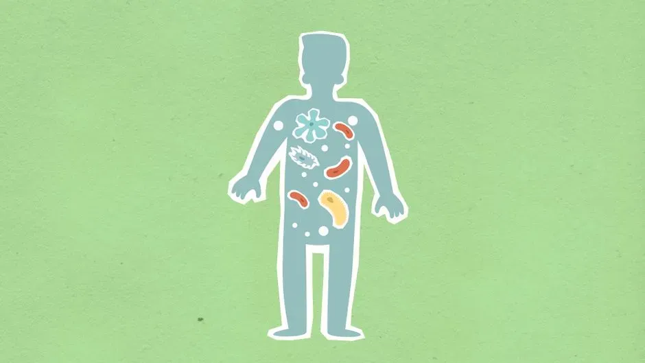 6. Your microbiome is part of your evolutionary story (Image Credits: Pexels)