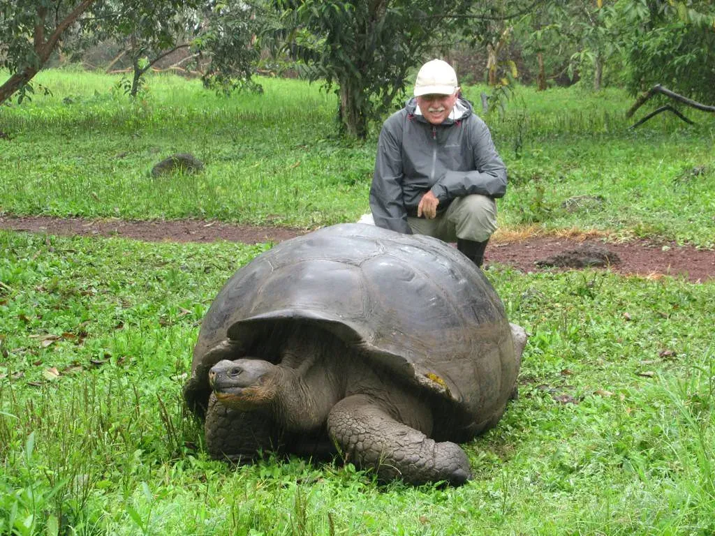#11 - Its Own World Record for Longevity (D-Stanley, Flickr, CC BY 2.0)