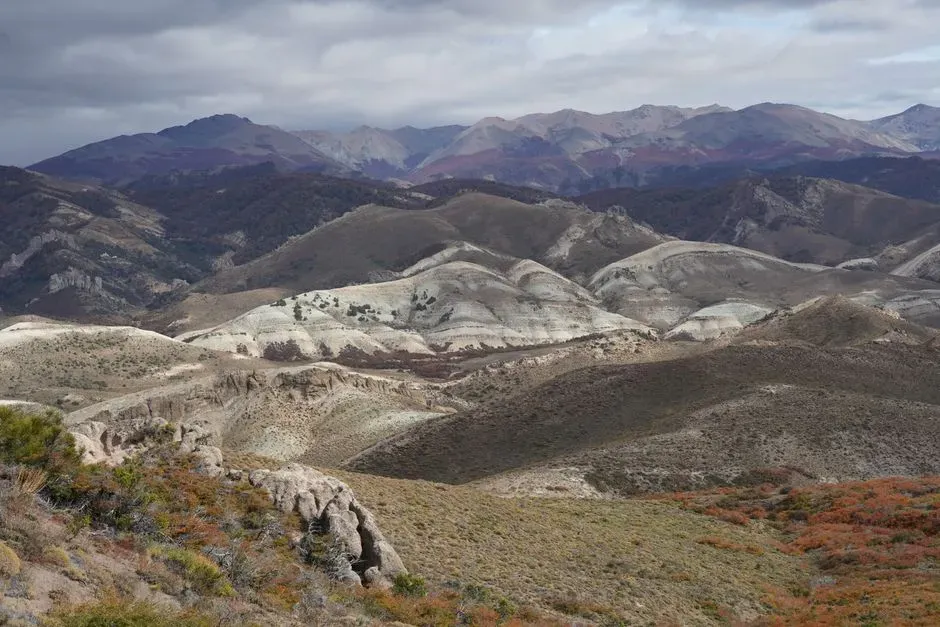Living in a World Built for Dinosaurs, Not for Us (Image Credits: Pexels)