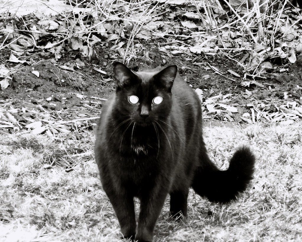 Physical Realm Manifestations and Signs (Image Credits: Flickr)