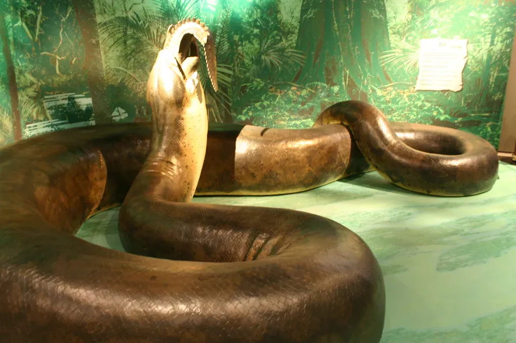 Titanoboa: When Snakes Were Longer Than School Buses (Image Credits: Flickr)