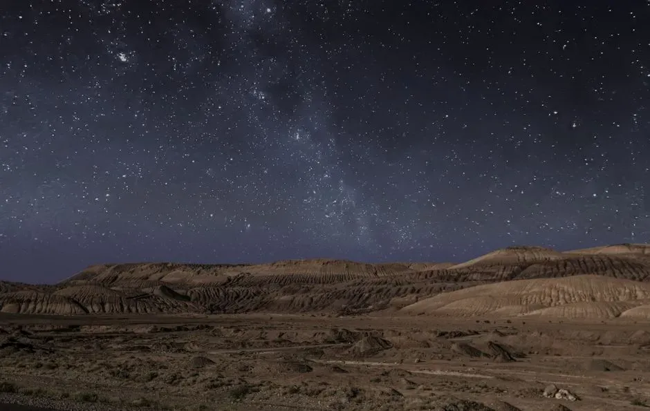 Life in a Harsh Cretaceous Desert: Surviving by Owning the Night (Image Credits: Pexels)