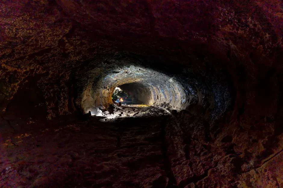#9 - They Likely Dug Burrows for Shelter, Not Hunting (Image Credits: Pexels)