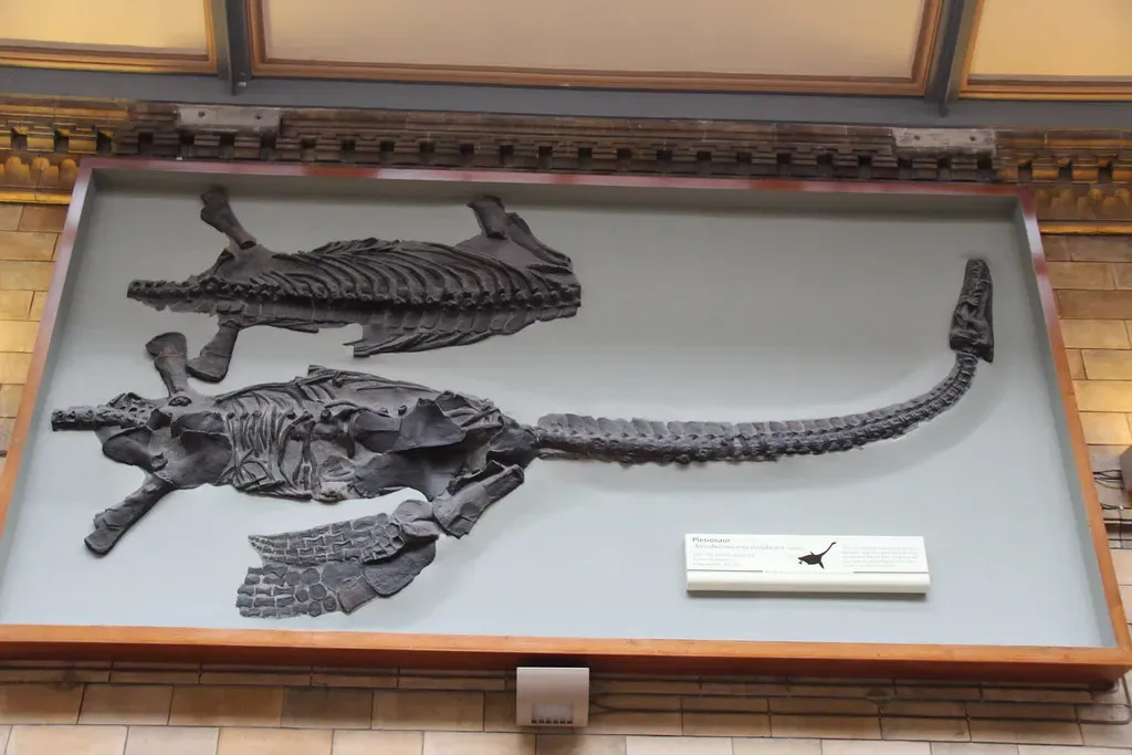 Conclusion (Image Credits: Flickr)