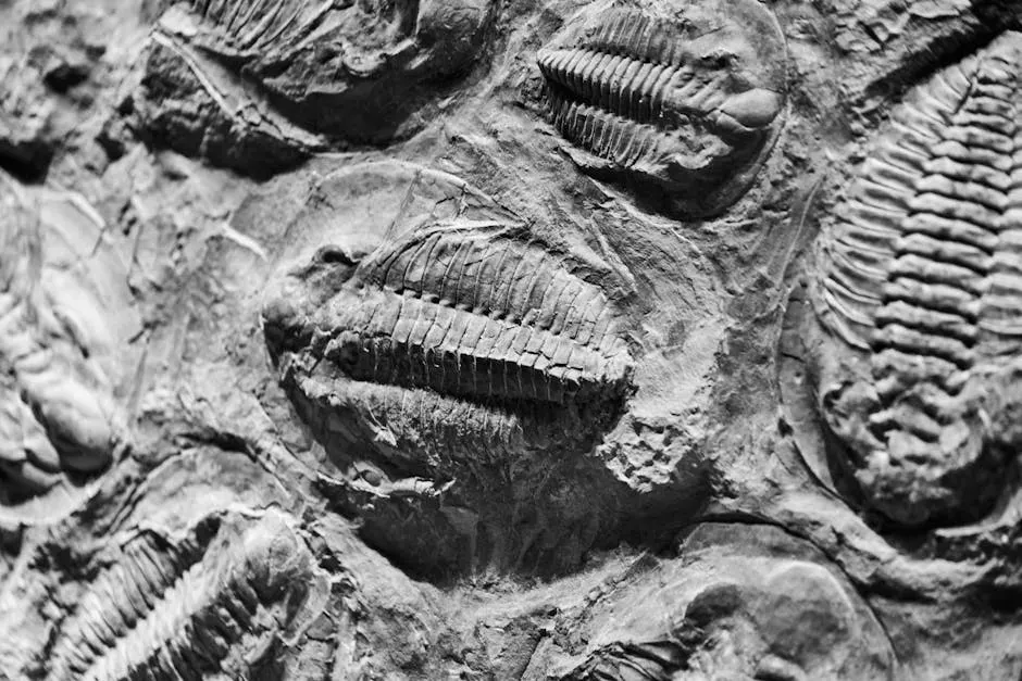 The Cambrian Explosion: When the Grand Canyon Was a 'Goldilocks Zone' (Image Credits: Pexels)