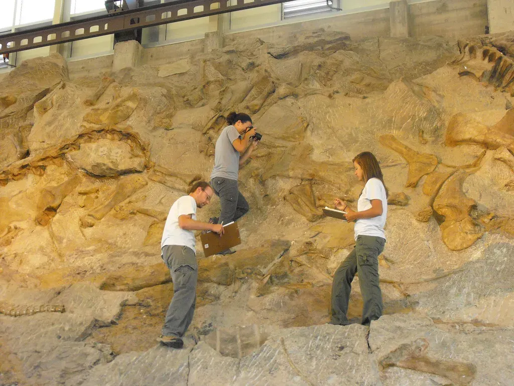 Conclusion: The Dinosaurs Beneath Your Feet (Image Credits: Flickr)