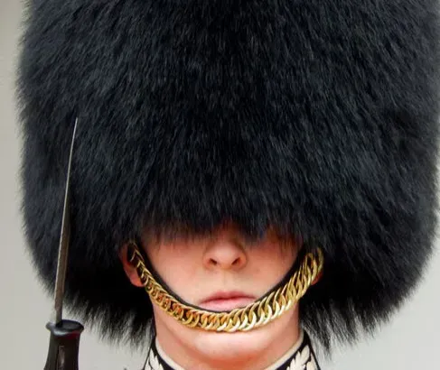 #9 - A Woven Grass Cape and Bearskin Cap (Image Credits: Pexels)