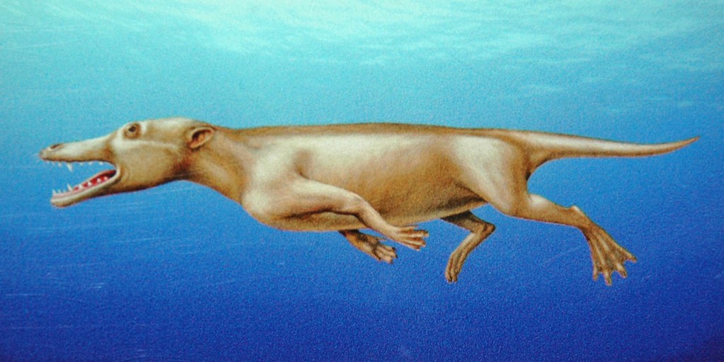 When Whales First Conquered the Oceans (Image Credits: Flickr)