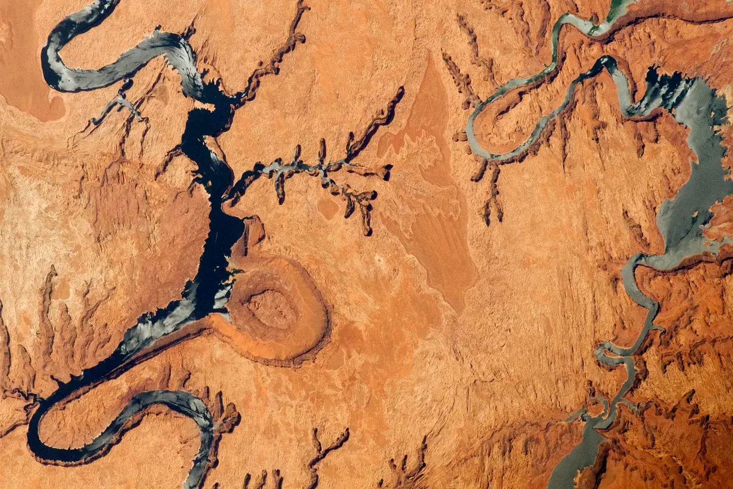 What the Evidence Tells Us About Our Future (Image Credits: Wikimedia)