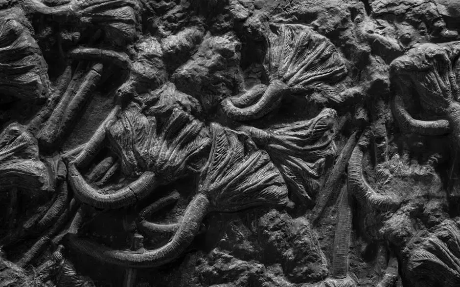 The Late Devonian Extinctions: The Long, Slow Squeeze on Ocean Life (Image Credits: Pexels)
