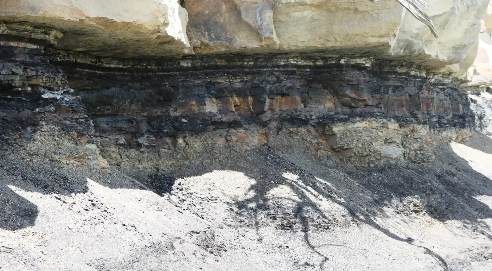 You Can Read the “Doom Layer” in Rocks Around the World (By Jeffrey Beall, CC BY 4.0)