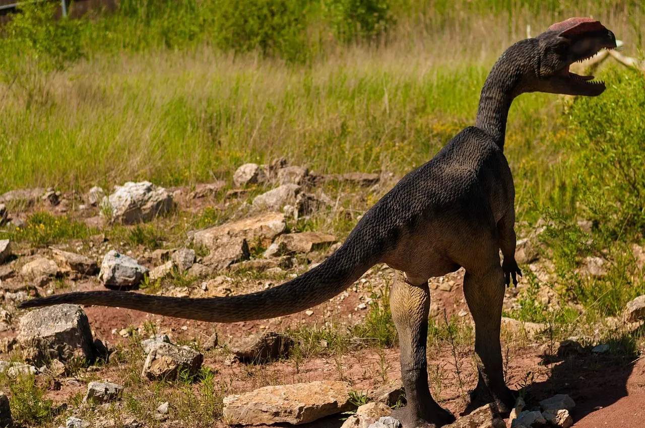 The Key Advantage: Why Dinosaur Bodies Were Built to Win (Image Credits: Pixabay)