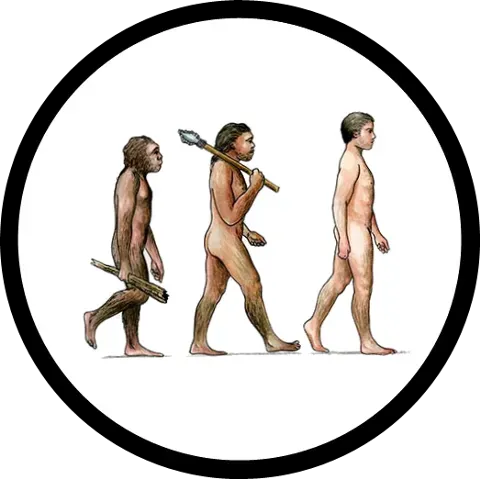 Biology in Motion: Did Human Bodies Change Faster Too? (By http://spec-evo.wikia.com/wiki/User:MagneticHyena, CC BY-SA 3.0)