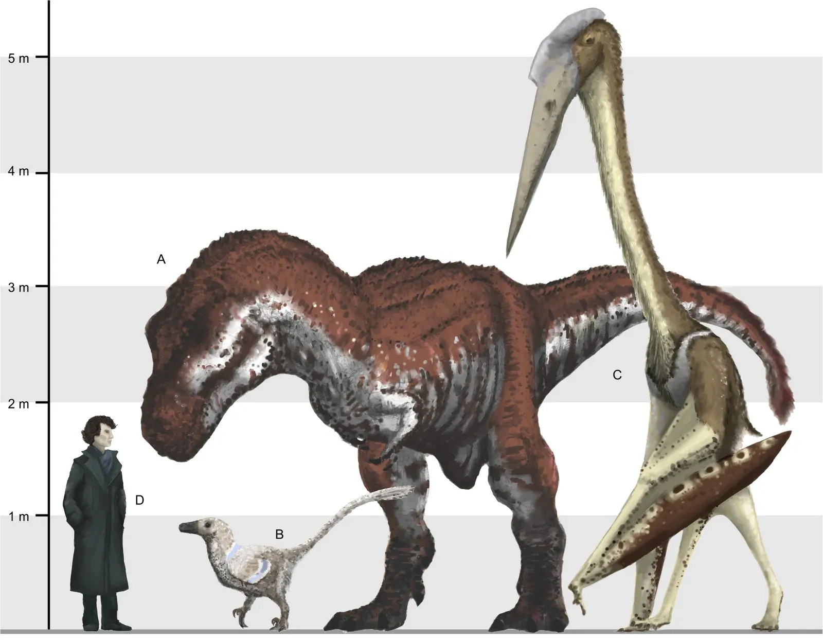 1. Pterosaurs Were Not Dinosaurs – But They Were Close Cousins (Witton, M. P., & Naish, D. (2015). Azhdarchid pterosaurs: water-trawling pelican mimics or “terrestrial stalkers”?. Acta Palaeontologica Polonica, 60(3), 651-660., CC BY 2.0)